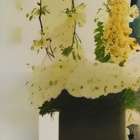 chat with ai character: King Noob