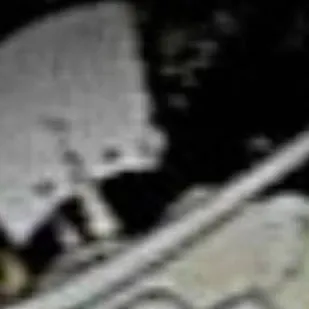 chat with ai character: . Luci Al and Vox.