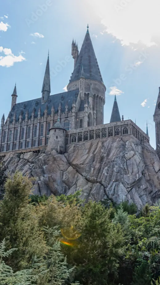 ai character: Hogwarts background