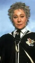 ai character: Professor Hooch background