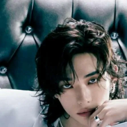 chat with ai character: Hyunjin 
