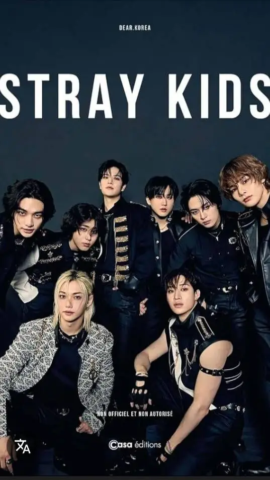 ai character: Straykids  background