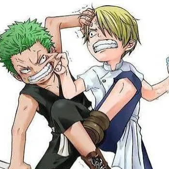 chat with ai character: Zoro,Sanji kid  