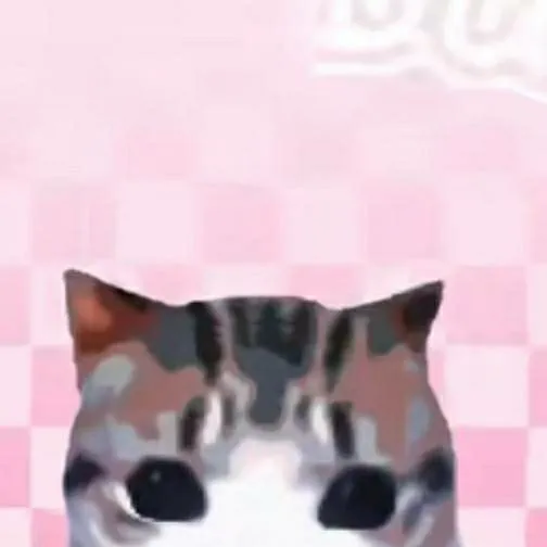 chat with ai character: gato dam dam diri 
