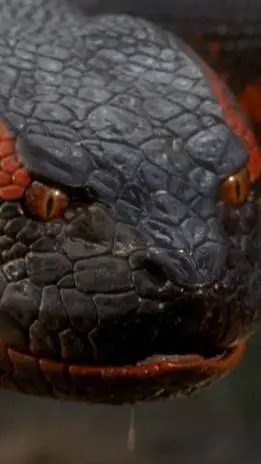 ai character: Nala background