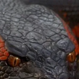 chat with ai character: Nala