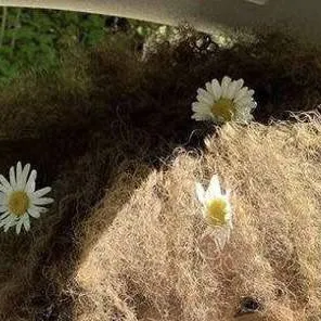 chat with ai character: Milena