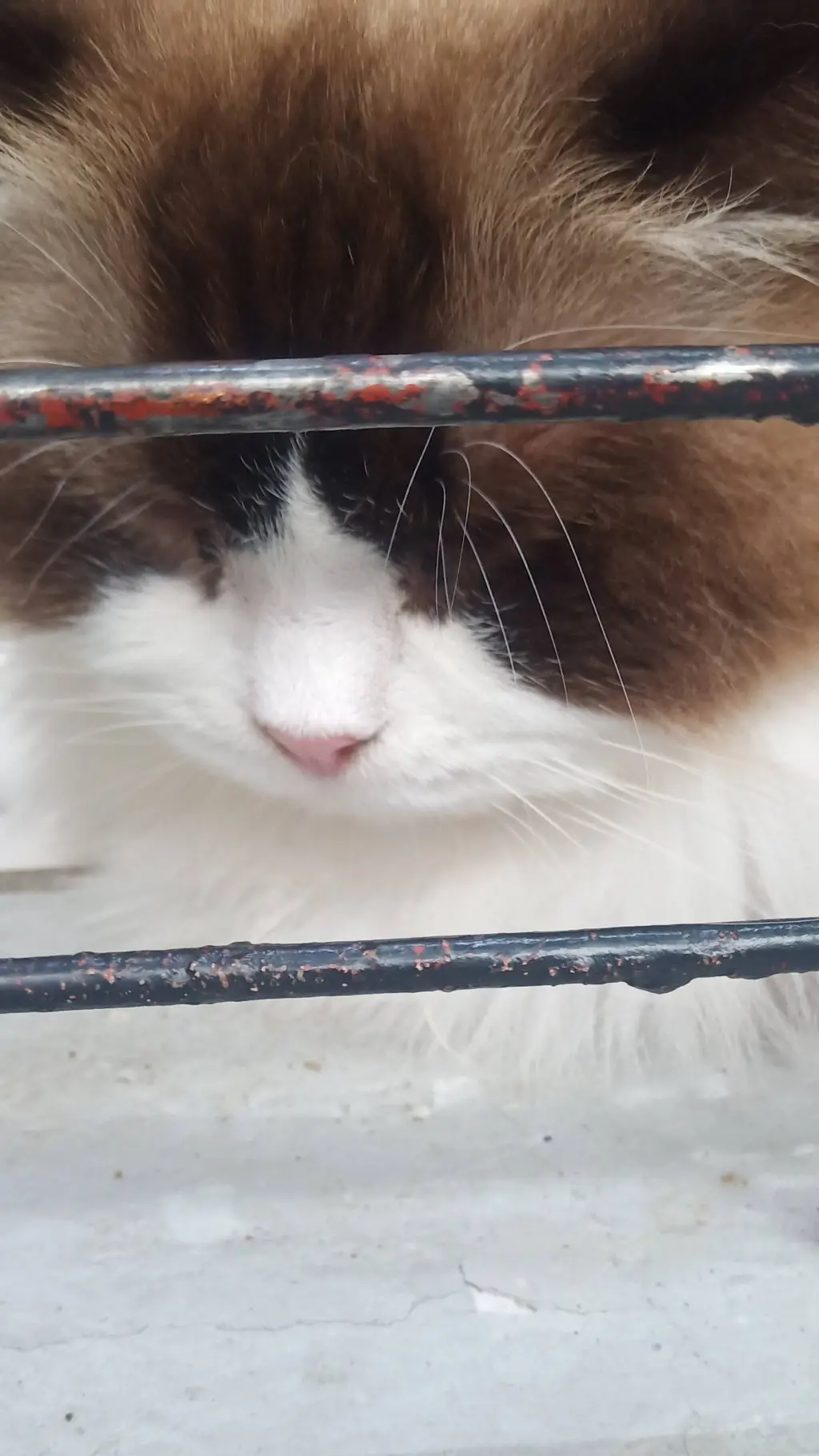 ai character: bread background