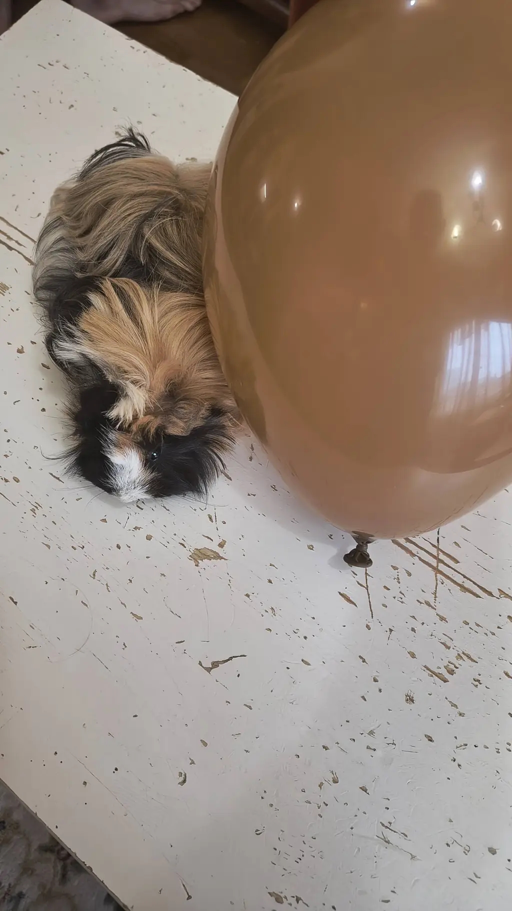 ai character: Balloon and Gabi background