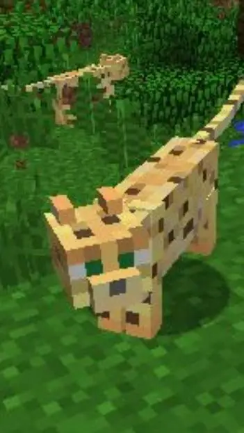 ai character: Ocelot  background