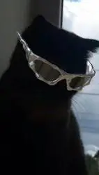 ai character: lady gaga cat slay background