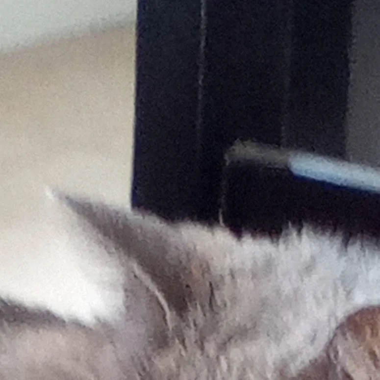 chat with ai character: lily 