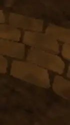 ai character: my cat died background