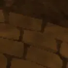chat with ai character: my cat died