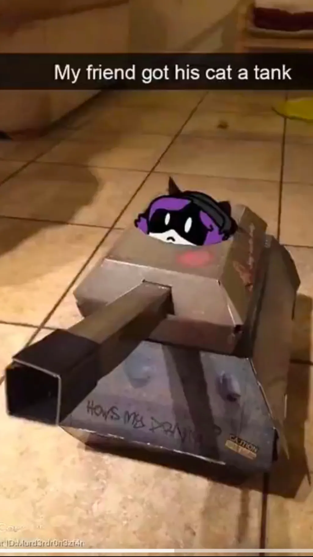 ai character: Cat uzi background