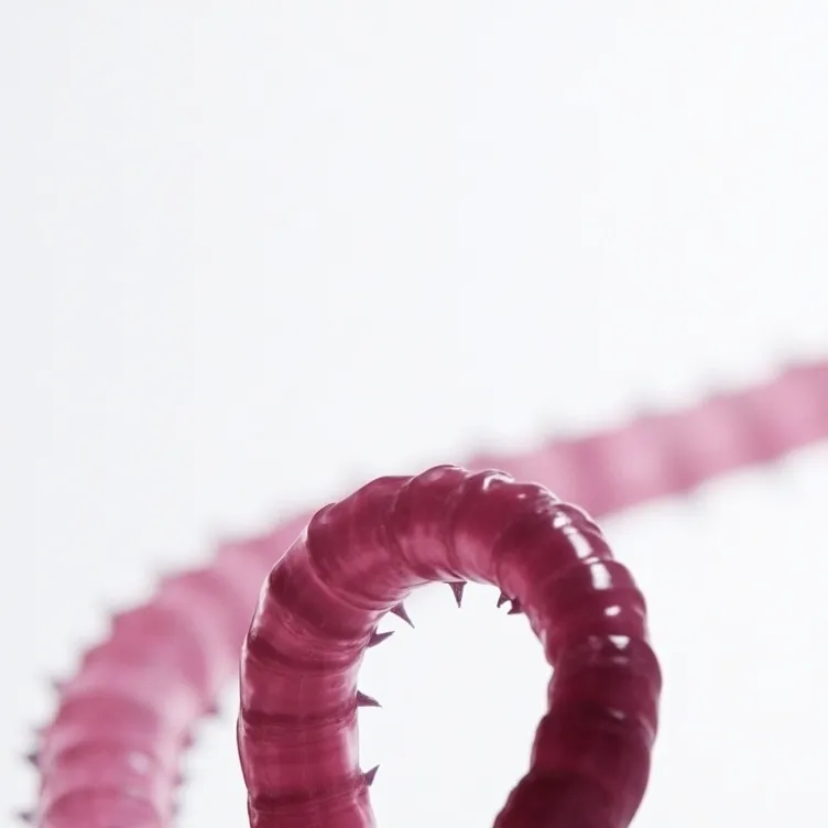 chat with ai character: Worm-000