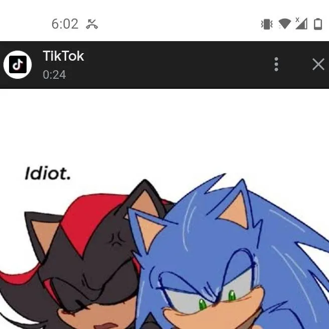 chat with ai character: ★Sonic x Shadow★