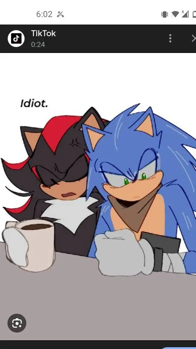 ai character: ★Sonic x Shadow★ background