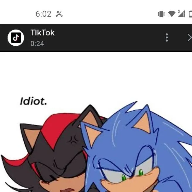 chat with ai character: ★Sonic x Shadow★