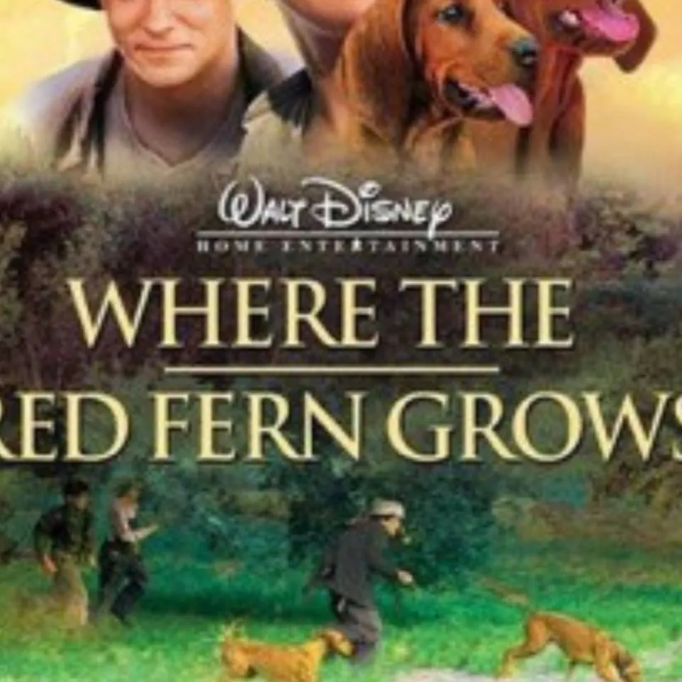 chat with ai character: the Red fern grows