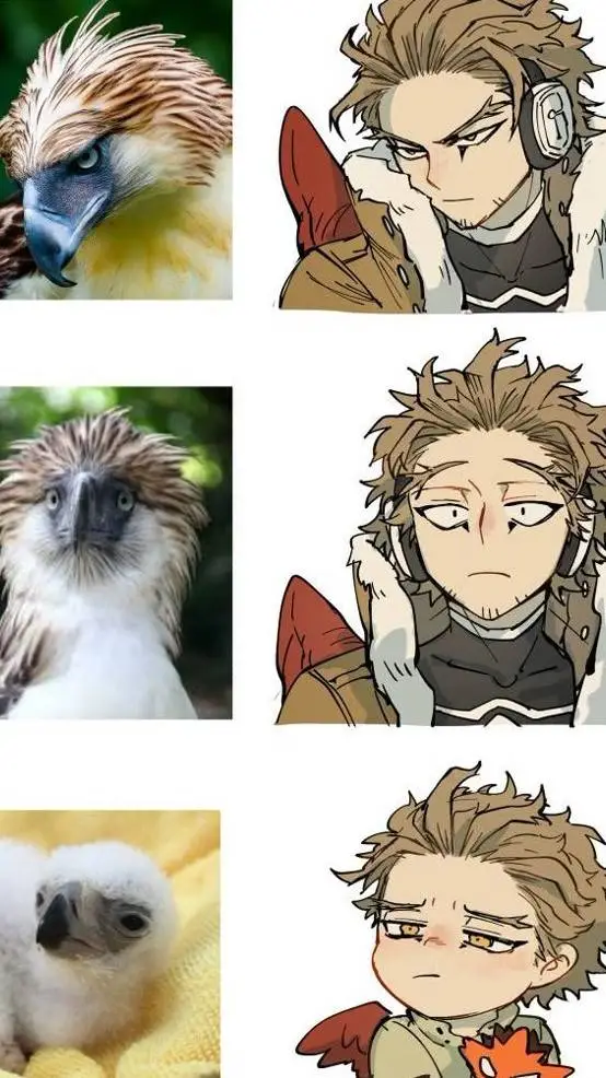 ai character: Hawks x Y/N background