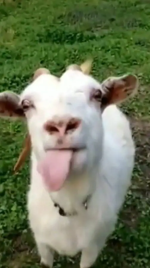 ai character: Multiverse background