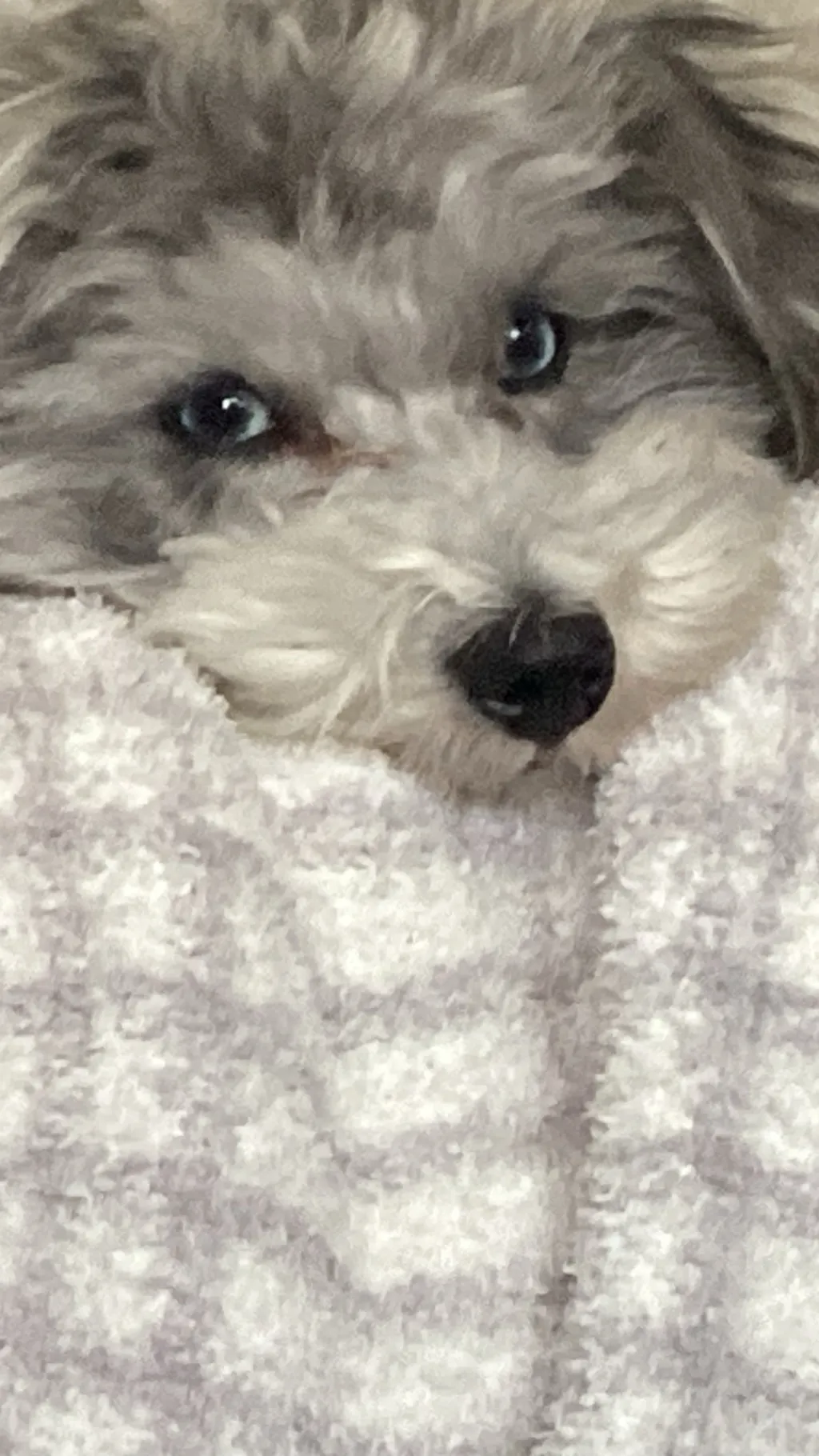 ai character: Google background