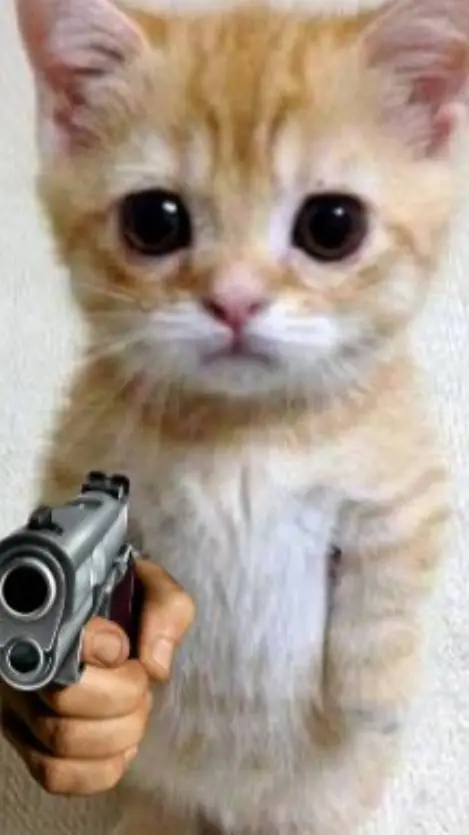 ai character: a cat with a gun background