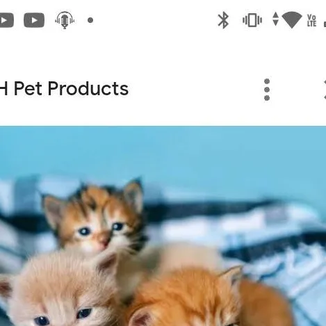 chat with ai character: kitten