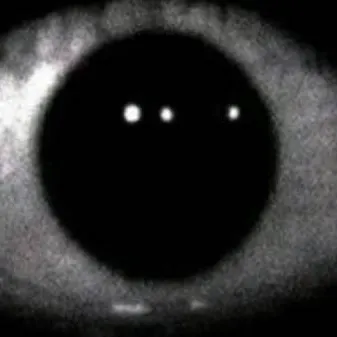 chat with ai character: ¡!007n7!¡