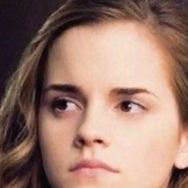 chat with ai character: Hermione 