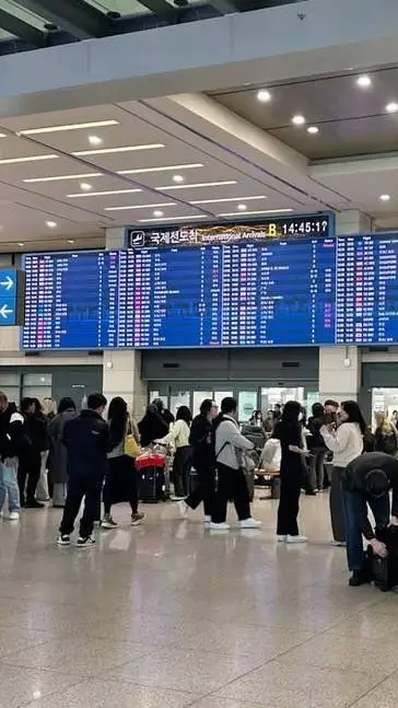 Talkie AI - Chat with Mha 1-A airport!! 
