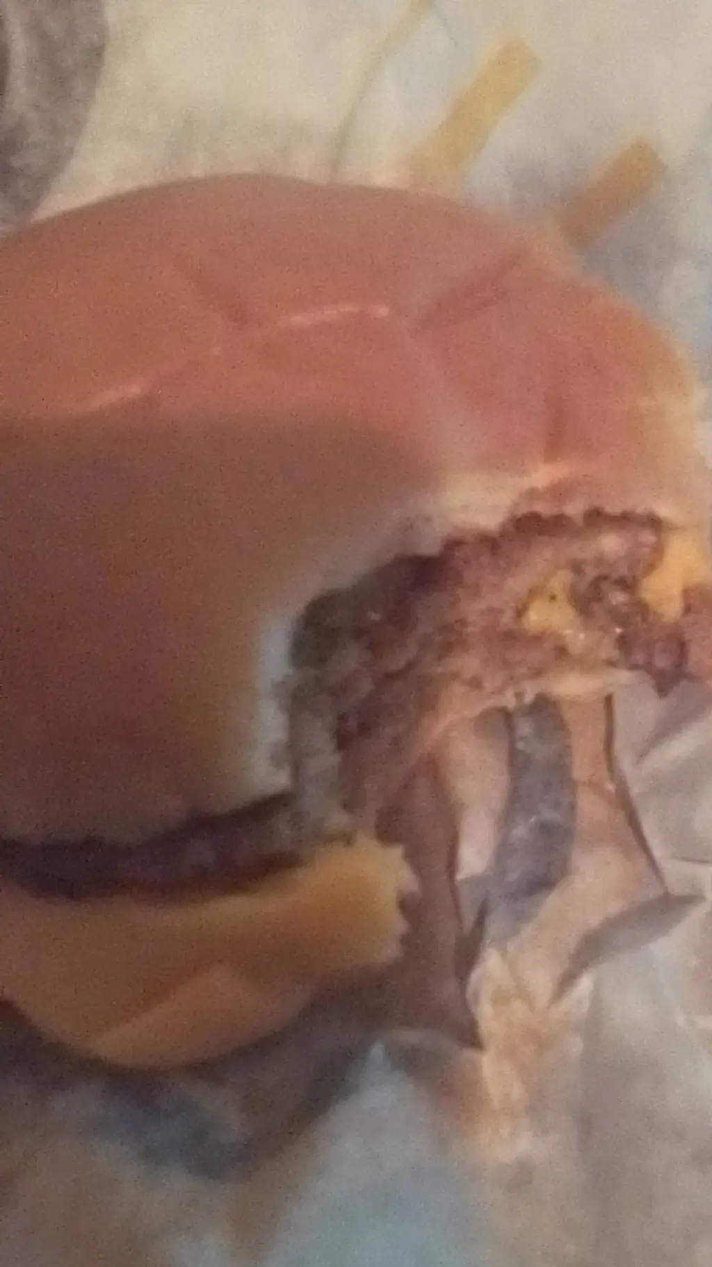 ai character: BURRGER  background