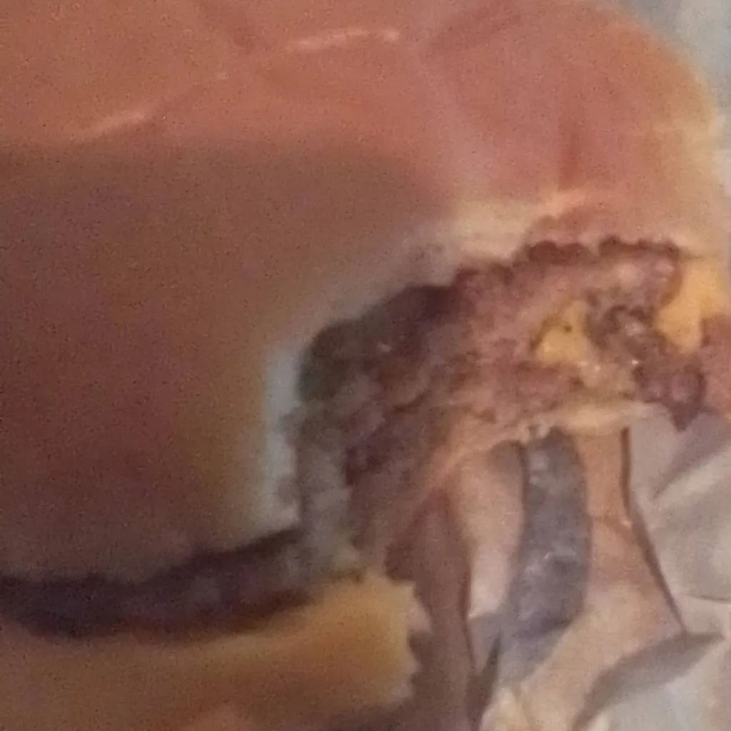 chat with ai character: BURRGER 