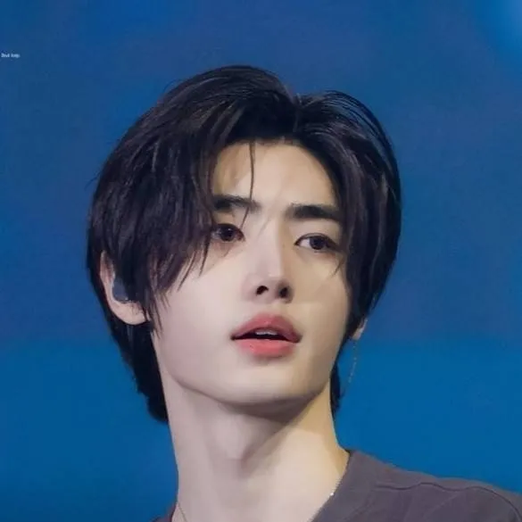 chat with ai character: Sunghoon 