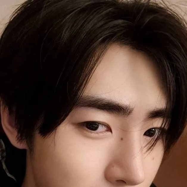chat with ai character: Sunghoon 