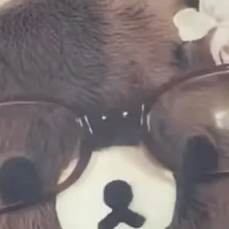 chat with ai character: Yuri