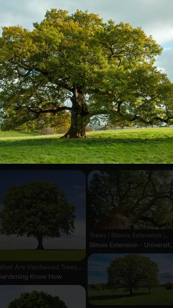 ai character: tree background
