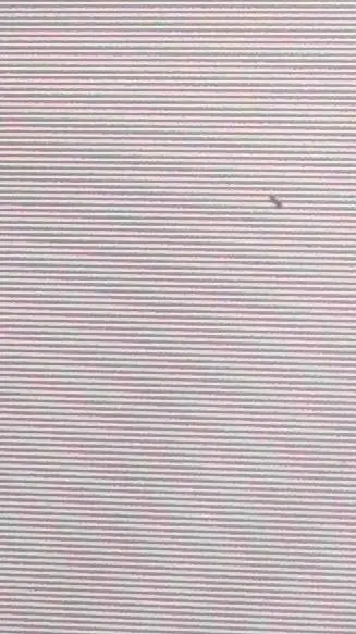 ai character: dsmp background