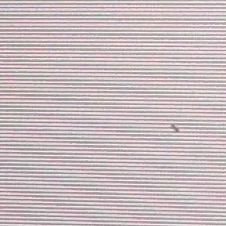 chat with ai character: dsmp