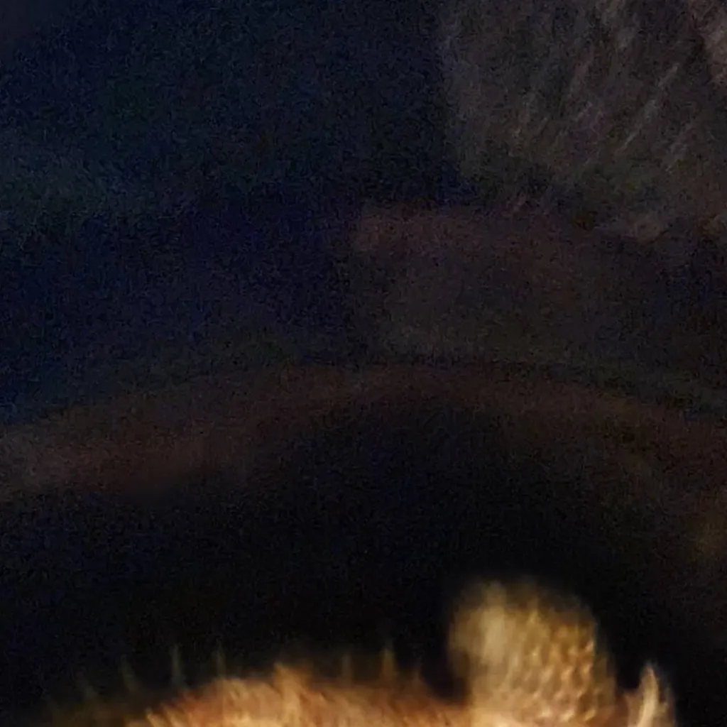 chat with ai character: Monster