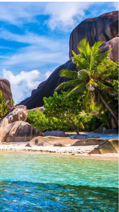 ai character: TADC island  background