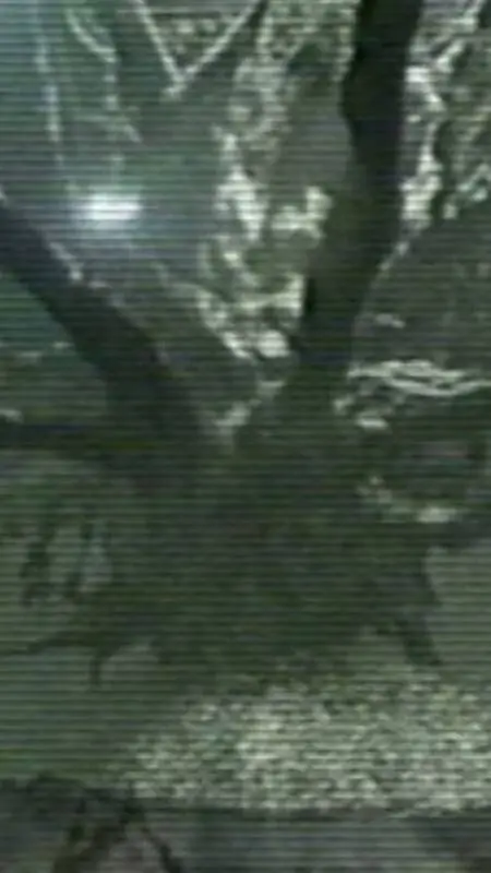 ai character: shelter54 incident background