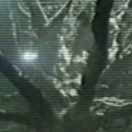 chat with ai character: shelter54 incident