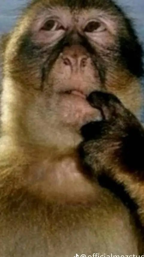 ai character: MHA to your school background