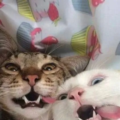 chat with ai character: Troupe phantom #5