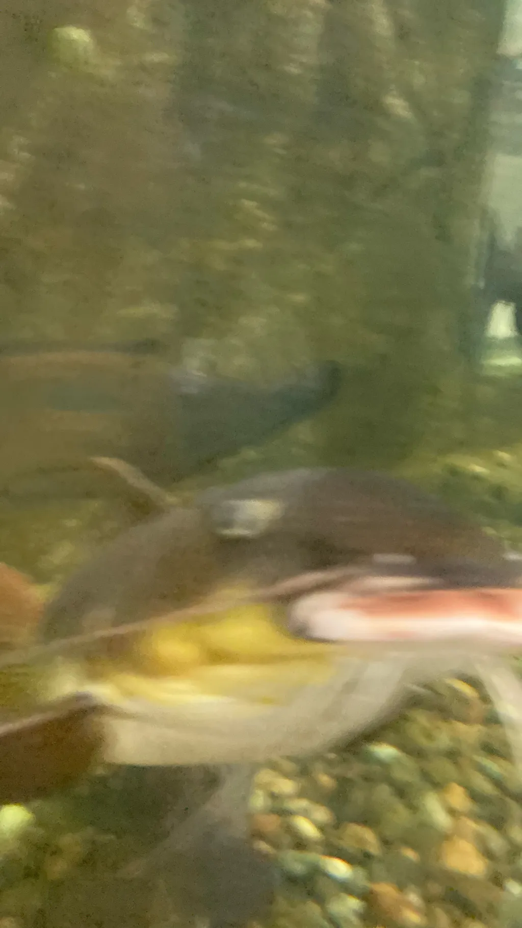 ai character: Talking planes background