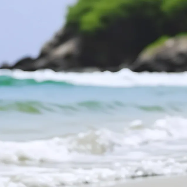 chat with ai character: "🌻🏖dw beach🌻🏖"