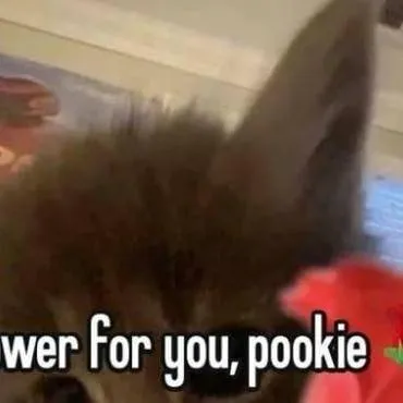 chat with ai character: Hated family?