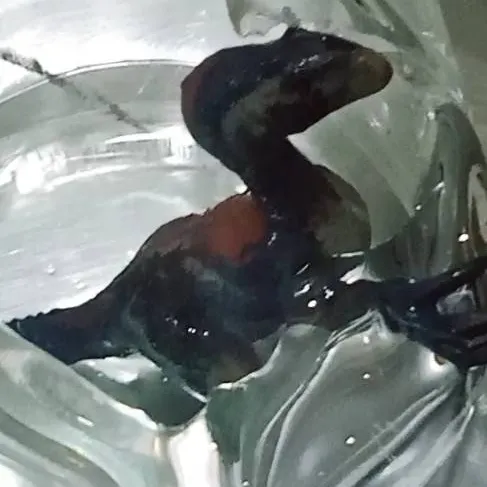 chat with ai character: Therizinosaur on❄️